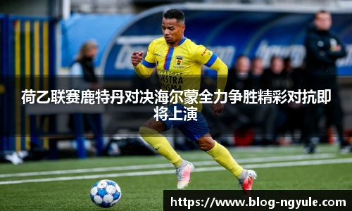 荷乙联赛鹿特丹对决海尔蒙全力争胜精彩对抗即将上演