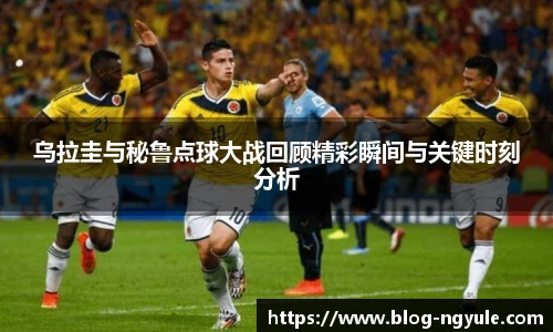 NG娱乐平台
