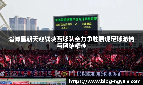 NG娱乐