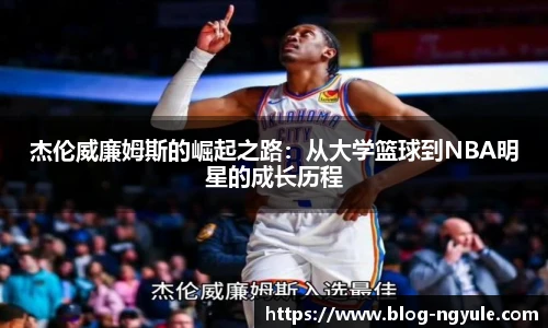 NG娱乐